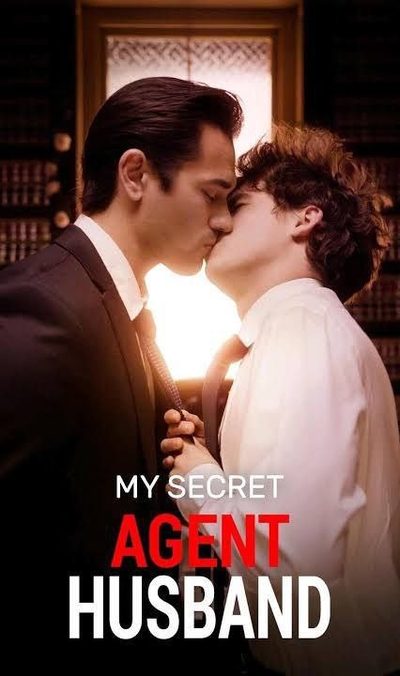Capa da minisserie Meu Marido Agente Secreto